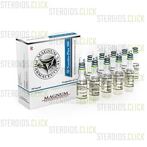 Magnum Test-Plex 300