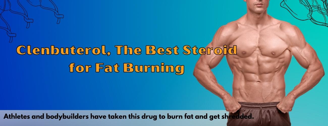 Clenbuterol, The Best Steroid for Fat Burning