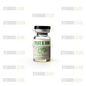 EQ 200 _ Test E 200 on steroids.click