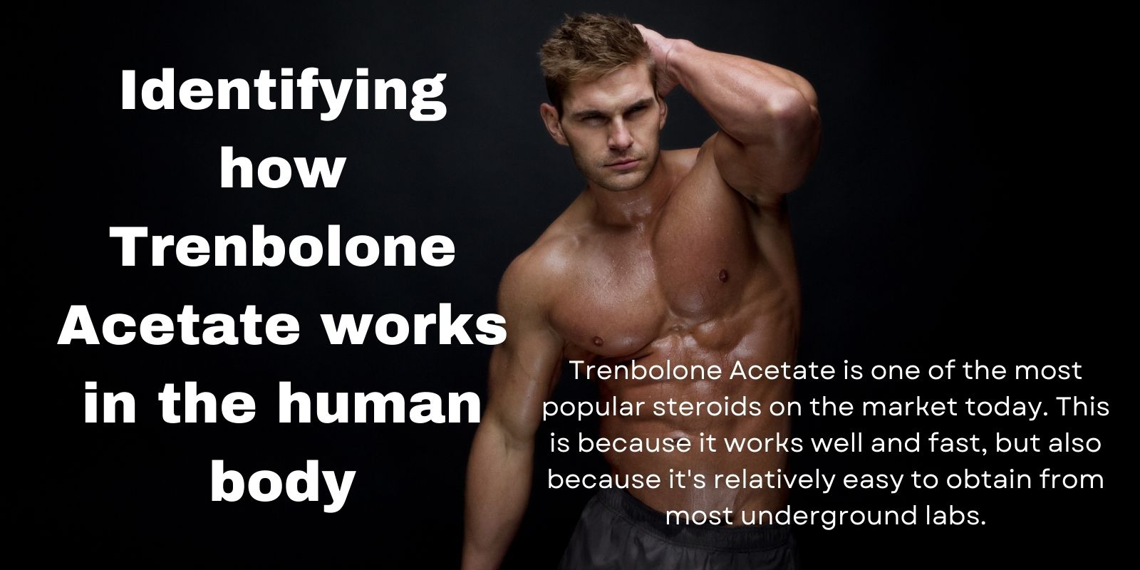 Identifying how Trenbolone Acetate works in the human body