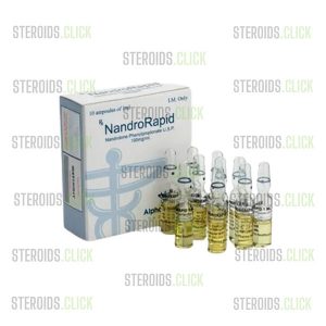 NandroRapid on steroids.click