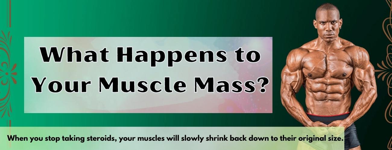 What Happens to Your Muscle Mass?